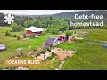 Couple lost suburban home then built a better life on Ozarks homestead