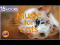 Download Lagu (NO ADS) 15 HOURS of Relaxing Cat Music - Instant Relaxation