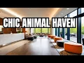 Pet-friendly Accommodations For All 2024