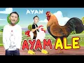 Download Lagu LAGU AYAM - ALE I LAGU ANAK INDONESIA