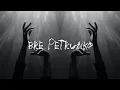 Download Lagu Bre Petrunko (Remix) - ZOOXS