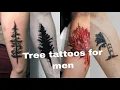 20 Best Tree Tattoos for men Artfully inked Trendy Tattoos for Men Pine Tree tattoos