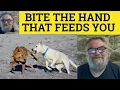 Download Lagu 🔵 Bite the Hand that Feeds You Meaning - Bite the Hand that Feeds You Examples - Idioms - Bite