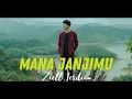 Download Lagu ZIEL FERDIAN-MANA JANJIMU(Music Audio)