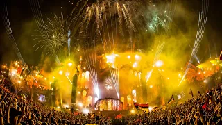 David Guetta Titanium Ft Sia Alesso Remix Live Tomorrowland 2015 
