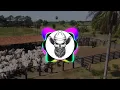 Download Lagu 10 Minutos de Modão classe A (feat Caipira Matuto)