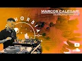 Download Lagu Marcos Calegari - Live @ Euphorbia (Fuerteventura, Islas Canarias)