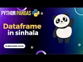 Python Pandas Tutorial 1 DataFrame Basics
