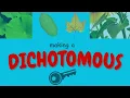 How to Make A Dichotomous Key