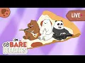 Download Lagu Big Bear Adventures Live! | We Bear Bears | Cartoon Network | Cartoons for Kids