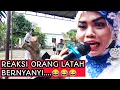 Download Lagu KIBOT LUCU | KIBOT MELAYU KOCAK | KIBOT MELAYU ULAT BULU | LAGU MELAYU DELI