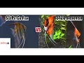 5 dollar petco fish VS 120 dollar fish from online