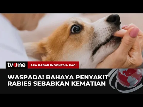 Rabies Menyebabkan Kematian, Pahami Pertolongan Pertamanya