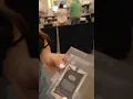 1st Beckett Grading Submission