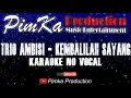 Download Lagu Trio Ambisi - Kembalilah Sayang | Karaoke Versi Cow