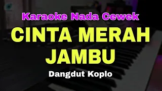 cinta merah jambu karaoke nada cewek