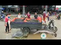 Download Lagu REWIND TIMALSPE --720 Hours Harvest Biggest Turtle, Many Big Fish Go To Countryside Market Sell