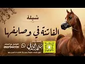 الفاتنة في وصايفها | كلمات واداء بندر الذرفي