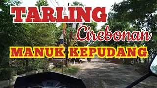 tarling lawas cirebonan manuk kepudang akehlewaneali 