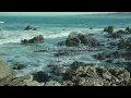 yeemz - People Pleaser (Official Audio)
