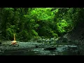 【自然音ASMR】焚き火×森林浴〜穏やかな森の川の音・鳥のさえずり｜勉強・集中・作業用・睡眠・リラックス