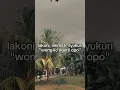 Download Lagu wong lio ngerti opo