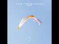 Raye - Sultan + Shepard & Shallou