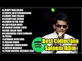 Lagu Saleem Iklim Full Album - Lagu Malaysia Slow Rock #iklim #saleem #melayu #lagumelayu tanpa iklan