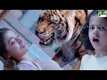 Download Lagu Tiger ने छोटी बच्ची और २ औरतों के घर घुसकर मचाया तांडव - Srikanth, Raai Laxmi, Naira Shah - Mirugaa