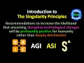 Introduction to the Singularity Principles
