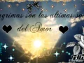 Sonambulo