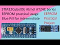 67 STM32CubeIDE AT24C EEPROM with STM32F103C8T6 Atmel AT24C256 Practical usage