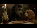 Video di Lilli e Il Vagabondo - Trailer Ufficiale | In Streaming su Disney+