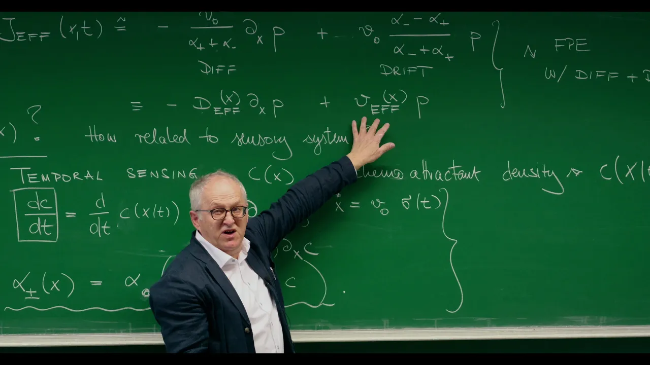 15. Chemotaxis, Run-and-Tumble Motion as Two-State Process, Keller–Segel model