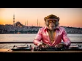 Download Lagu DJ GO RILLA – 🎧 JOURNEY №16 | Ethnic Techno \u0026 Melodic Deep House,  MIX | ISTANBUL, TURKEY