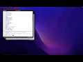 Setting Up Your Environment with the Python API