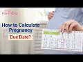 How to Calculate Your Pregnancy Due Date Easy Methods