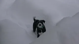 Cruising Lealea Christmas Eve 2025