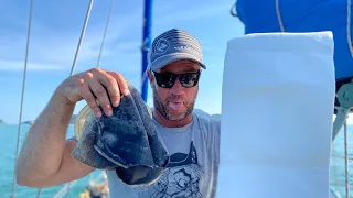 How to avoid BAD fuel in South East Asia (Sailing Catalpa)