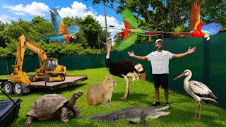 My BACKYARD ZOO Is Finally COMPLETED! (15 years in the making) 