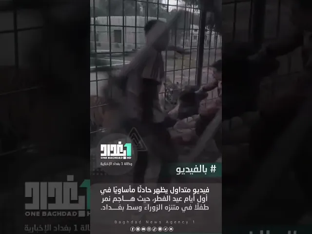 نمر يهاجم طفل في حديقه الزوراء نسال الله له العافيه