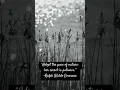 Download Lagu “Adopt the pace of nature: her secret is patience.” — Ralph Waldo Emerson