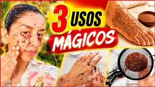 ¡NO TIRES TU DINERO! 💰 Haz esto con la linaza que te sobró