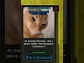 Raise A Protogen 2 Tutorial How to get Catsweeper Reach the Shop in the Backrooms