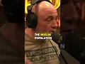 Download Lagu Joe Rogan - Muslims In America 🇺🇸