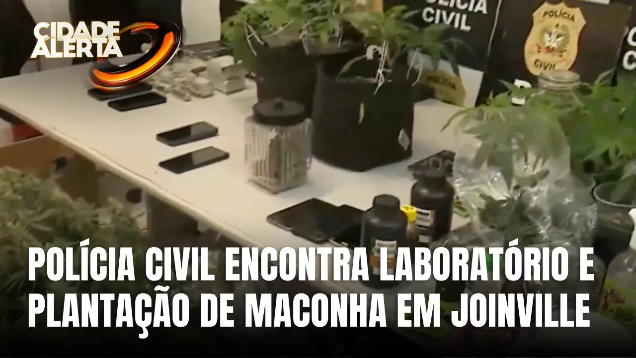 Operação da Polícia Civil descobre cultivo de maconha em Joinville