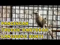 Download Lagu PANCINGAN TRUCUK OMBYOKAN AGAR CEPAT BUNYI