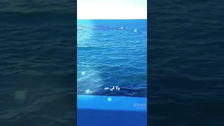 ٢٧ يوليو ٢٠٢٣ 