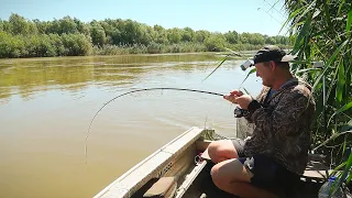 РЫБАЛКА НА СОМА И САЗАНА! УХ, ТАЩИТ! Ловля сома на червя и сазана на жмых. Ловля сазана на закидушки