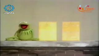 الضفدع كامل وكعكي الأشكال 